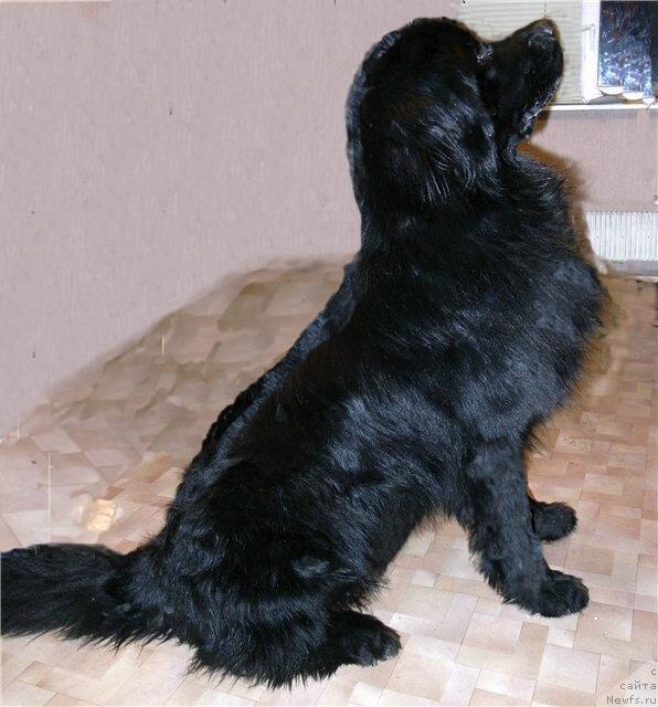 Фото: Ol'ga Lomteva (Ольга Ломтева)