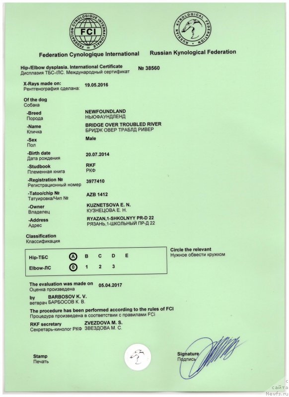 Фото: ньюфаундленд Bridge Over Troubled River (Бридж Овер Траблд Ривер)