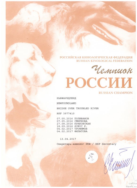 Фото: ньюфаундленд Bridge Over Troubled River (Бридж Овер Траблд Ривер)