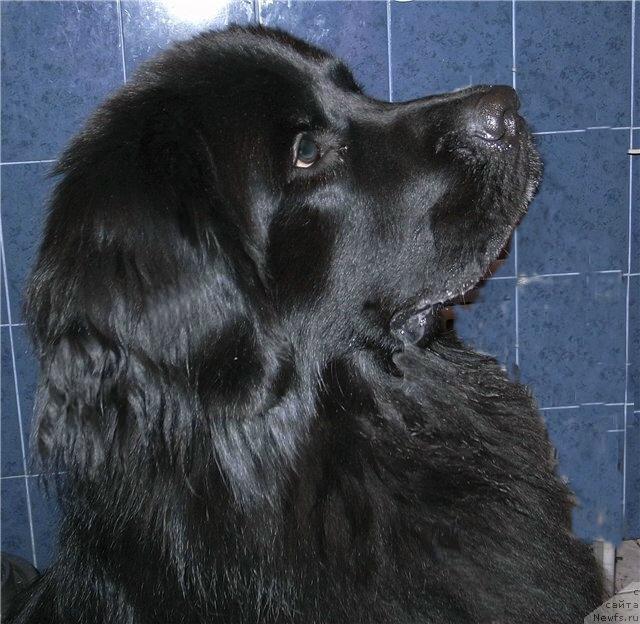 Фото: Ol'ga Lomteva (Ольга Ломтева)