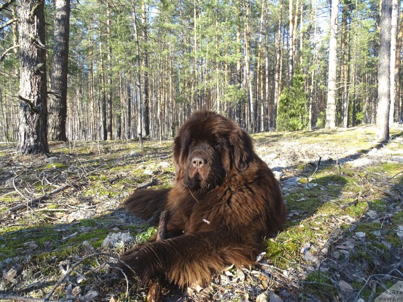 Фотография № 223558