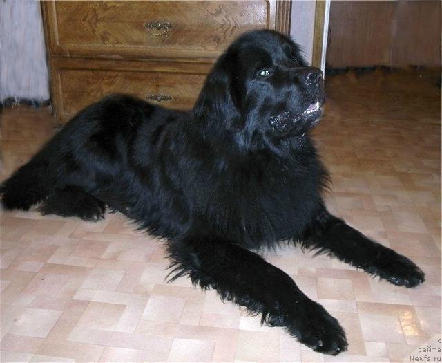 Фото: Ol'ga Lomteva (Ольга Ломтева)