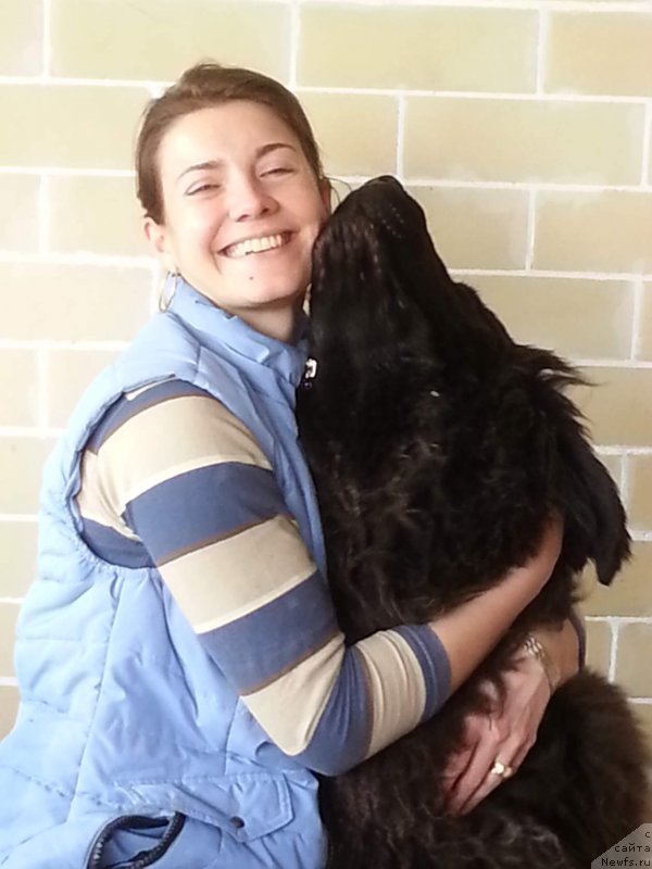 Фотография № 223608