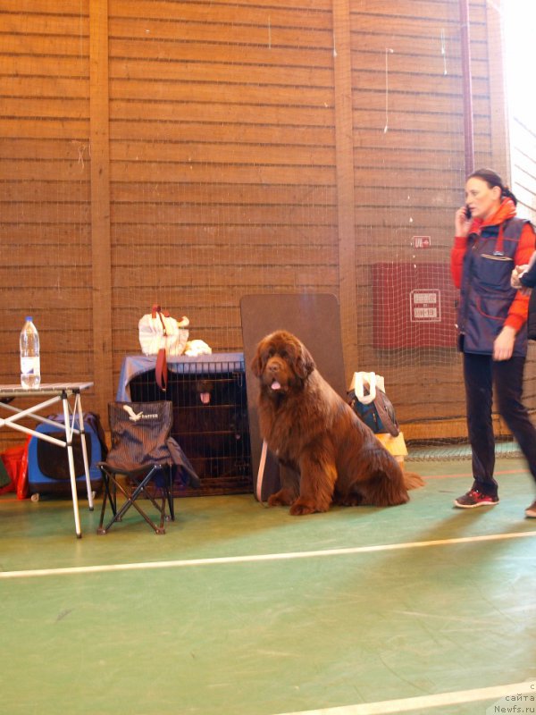 Фотография № 223611