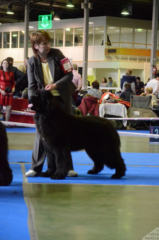 Фотография № 223625