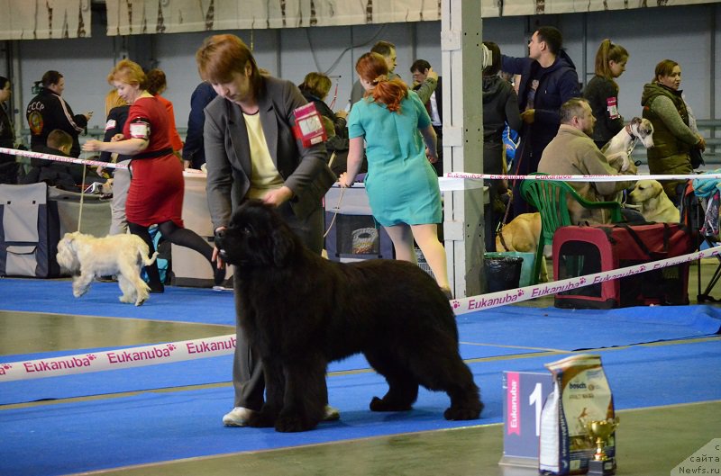 Фотография № 223626