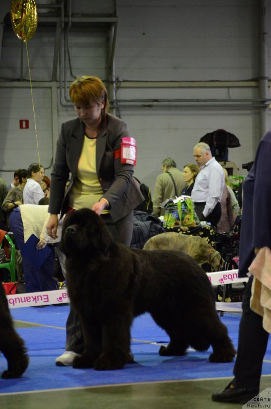 Фотография № 223627