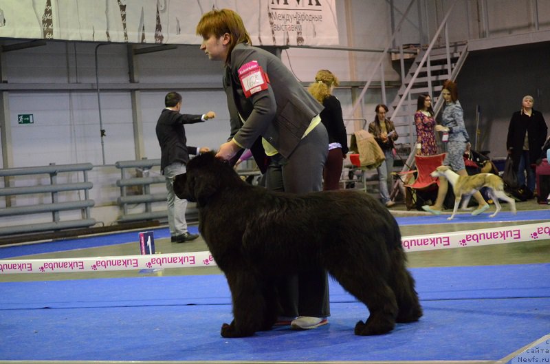 Фотография № 223628