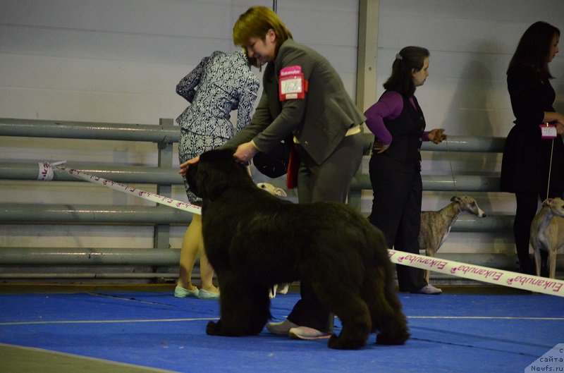 Фотография № 223629