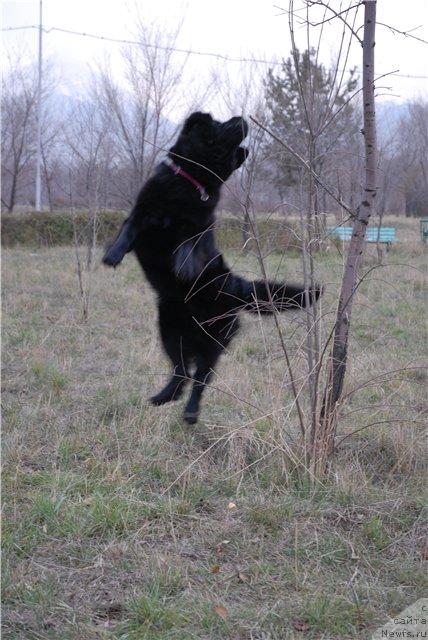 Фотография № 22363