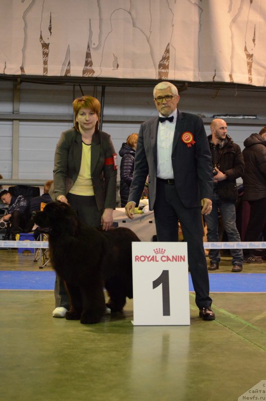 Фотография № 223631