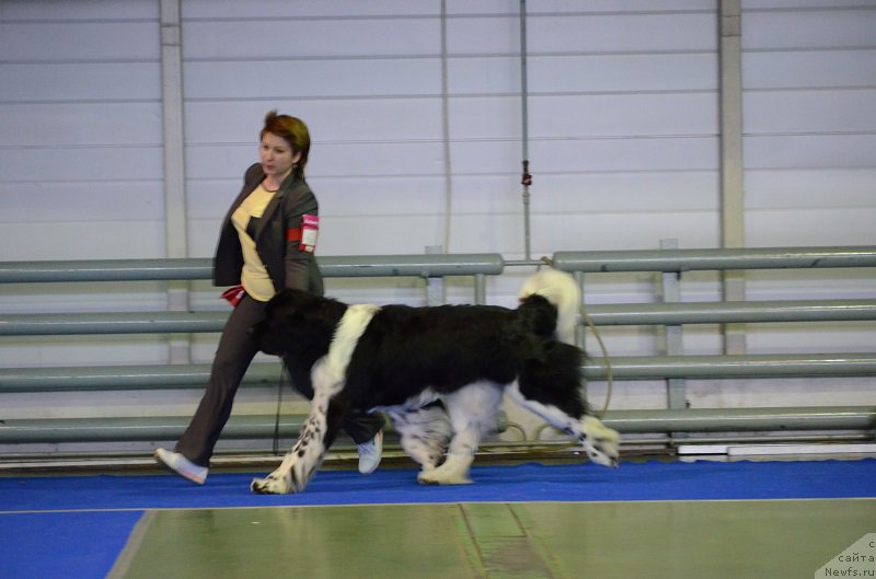 Фотография № 223633