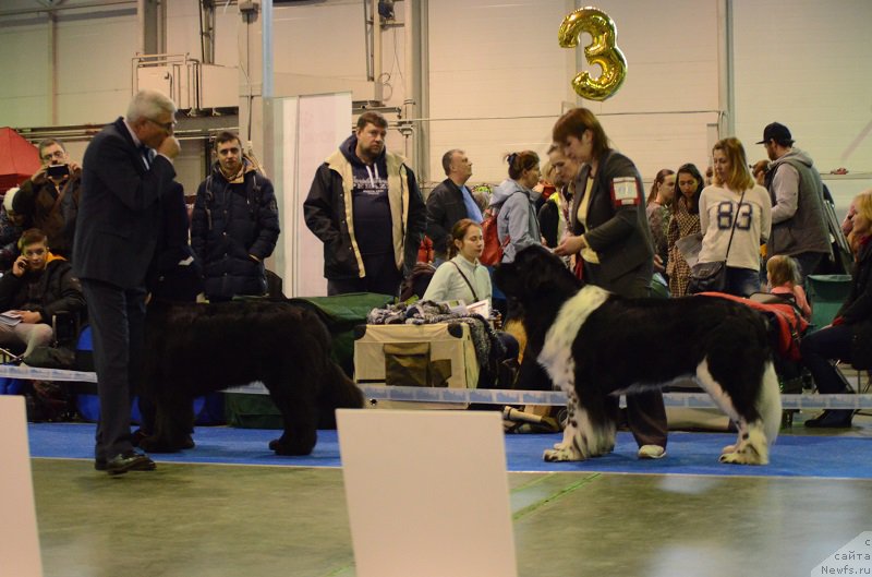 Фотография № 223634