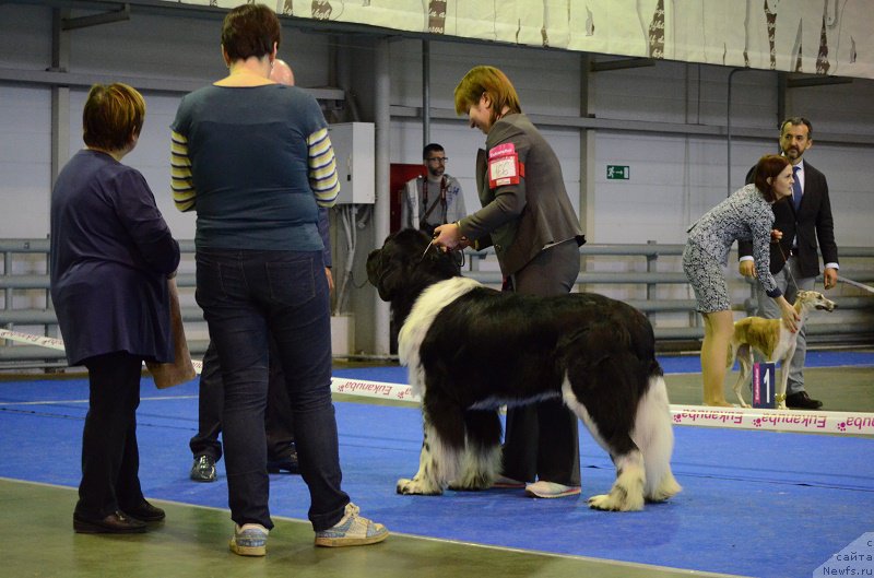 Фотография № 223635