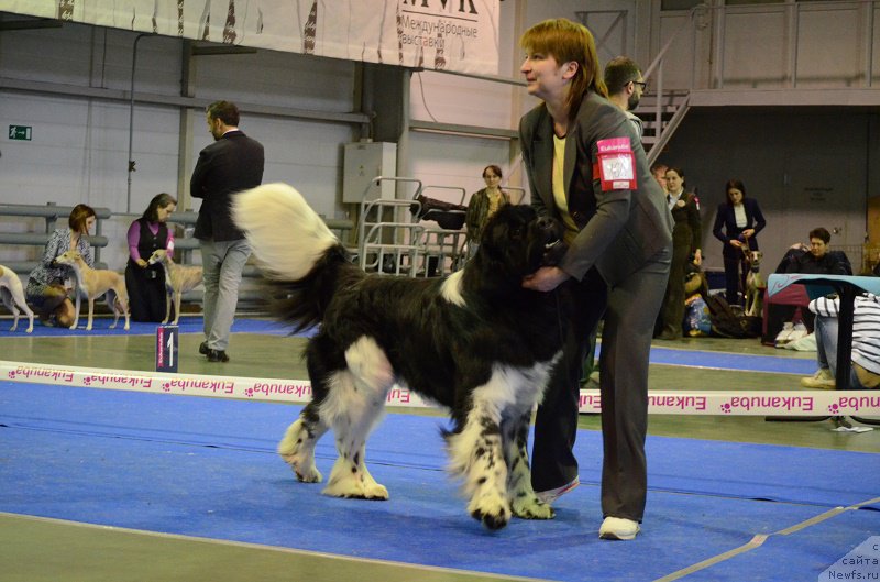 Фотография № 223636