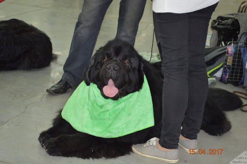 Фотография № 223650