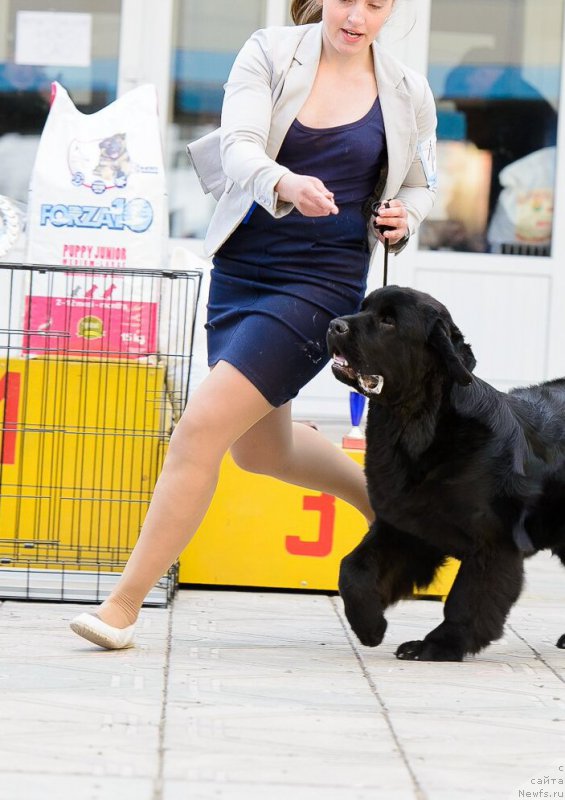 Фотография № 223651