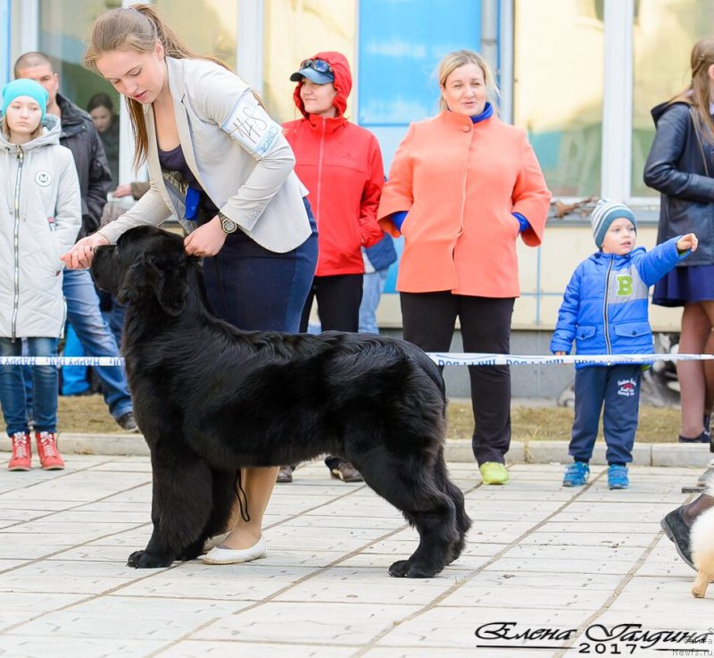 Фотография № 223654