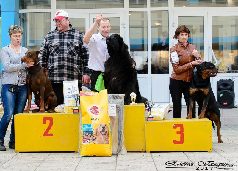 Фотография № 223658