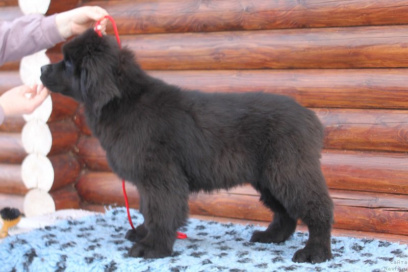 Фотография № 223675