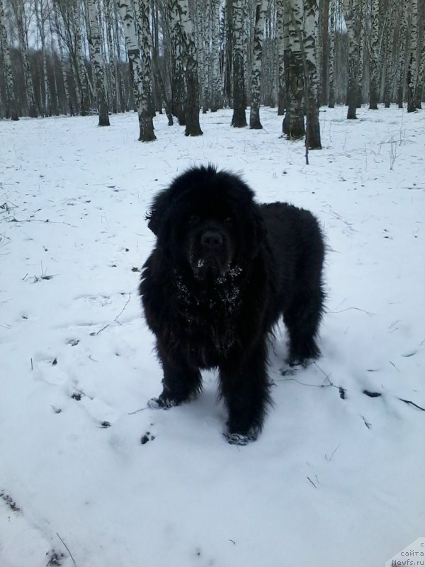 Фотография № 223676