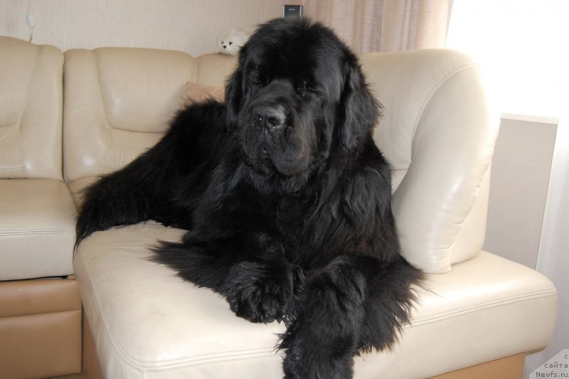 Фотография № 223692