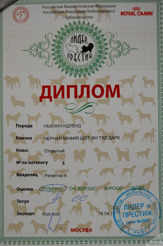 Фотография № 223693