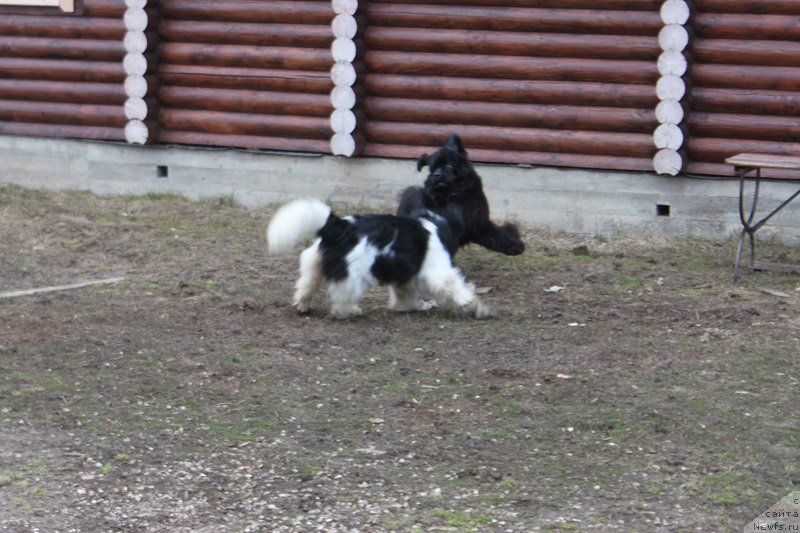 Фотография № 223706