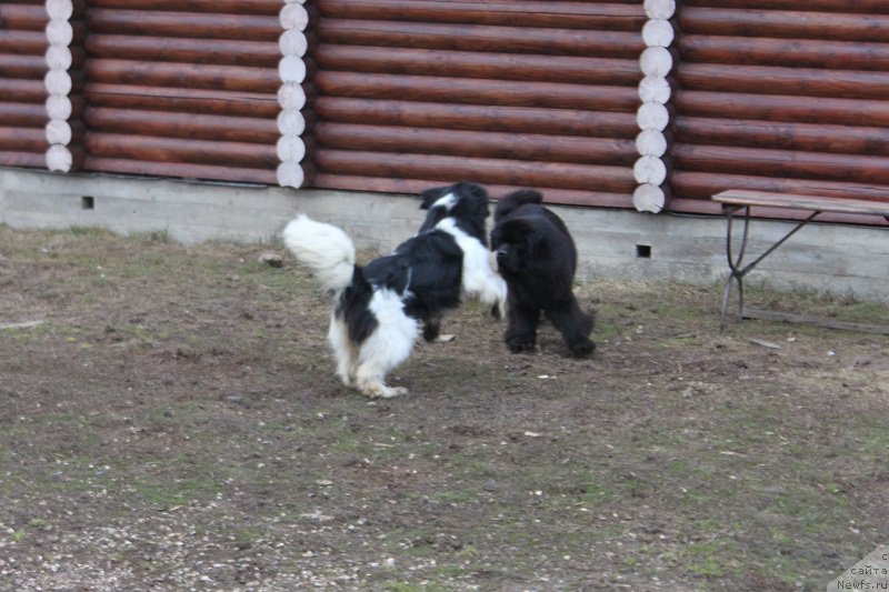 Фотография № 223707