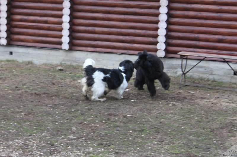 Фотография № 223708