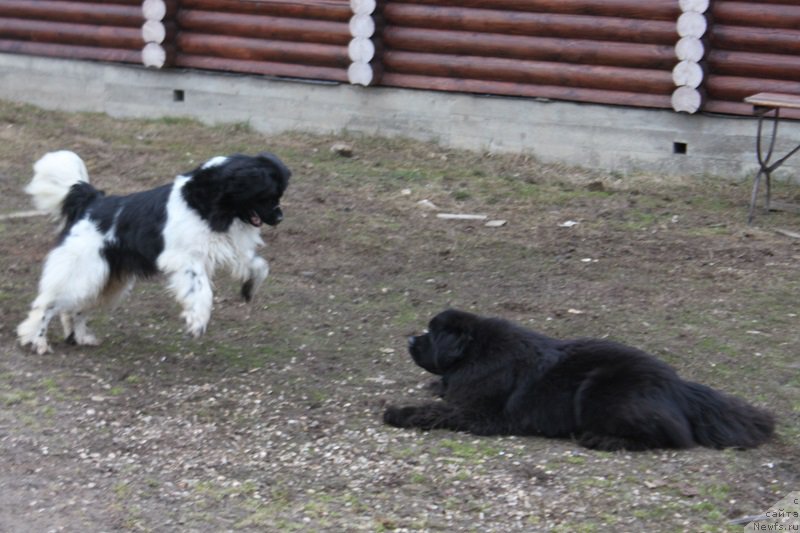 Фотография № 223709