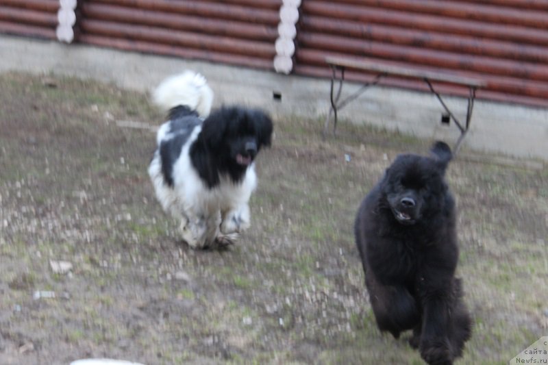 Фотография № 223712