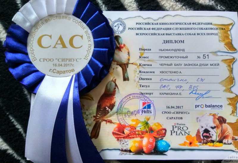 Фотография № 223756