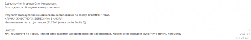 Фото: ньюфаундленд Bereginya Shakira (Берегиня Шакира)