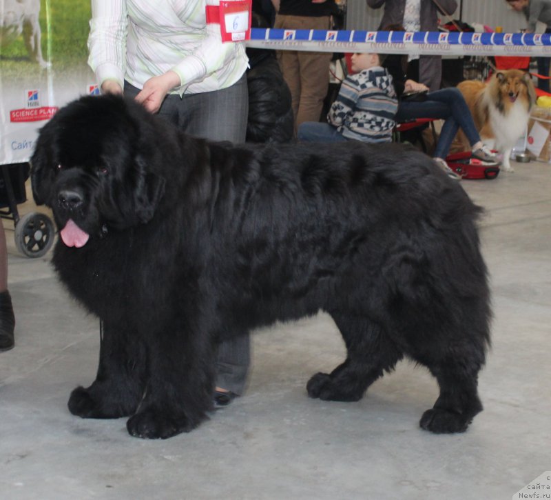 Фотография № 223769