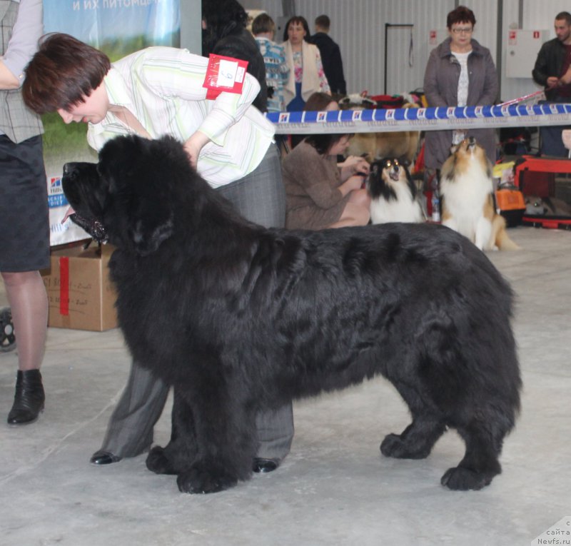 Фотография № 223770