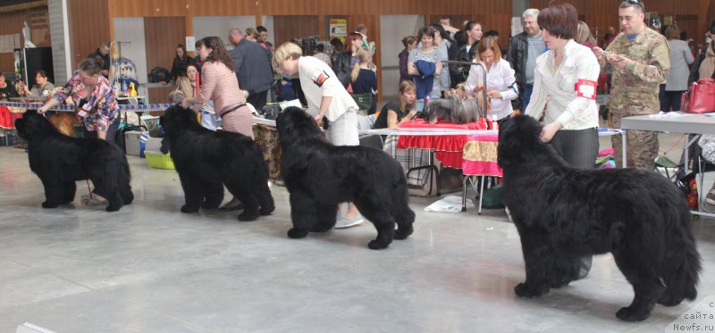 Фотография № 223772