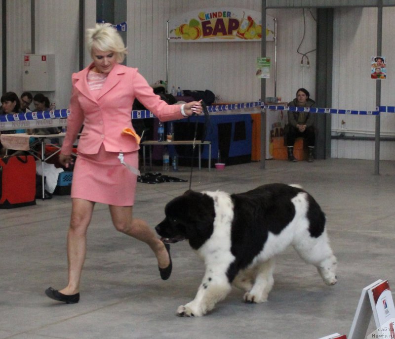 Фотография № 223775