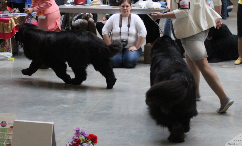 Фотография № 223784