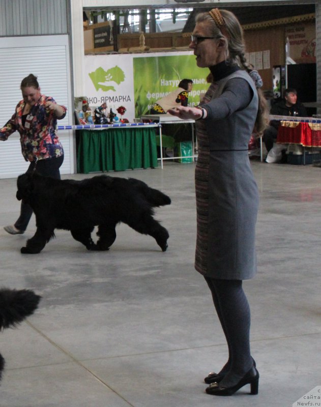 Фотография № 223785