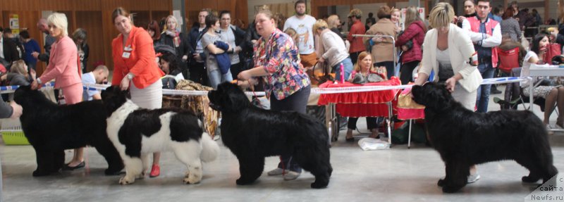 Фотография № 223786