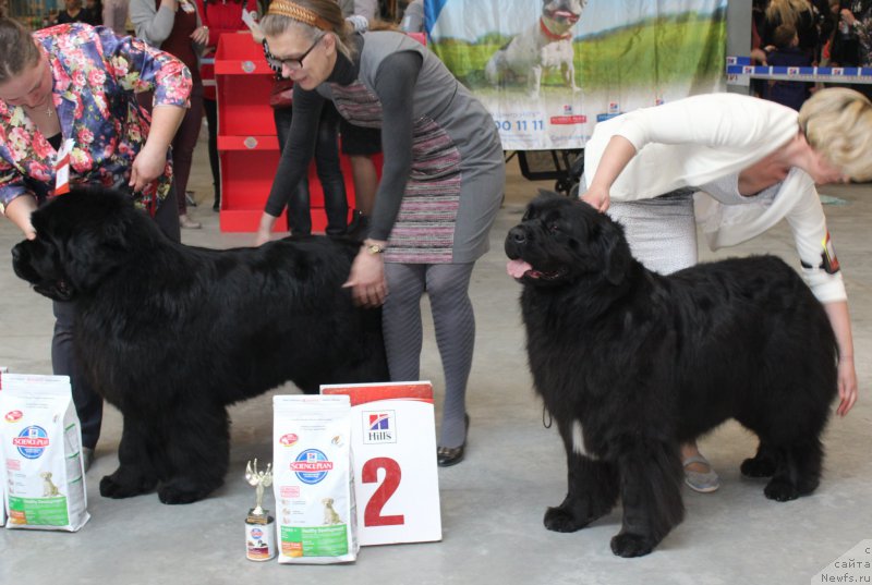 Фотография № 223791