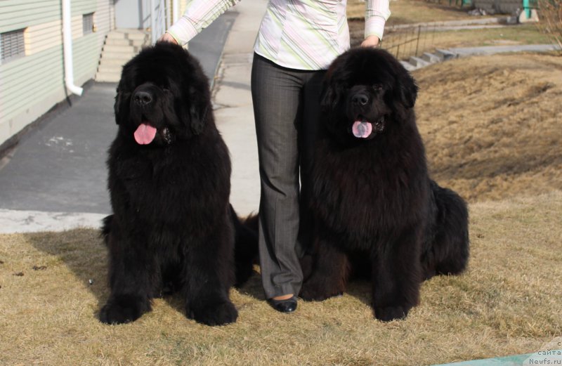 Фотография № 223802