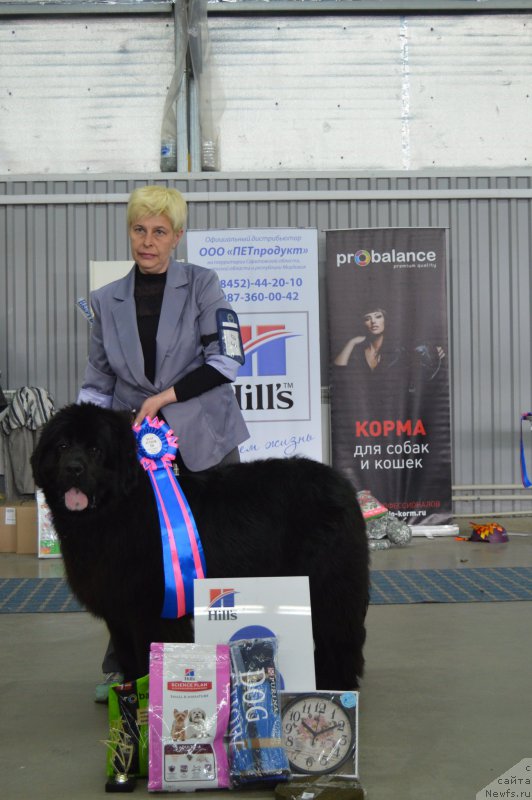 Фотография № 223814