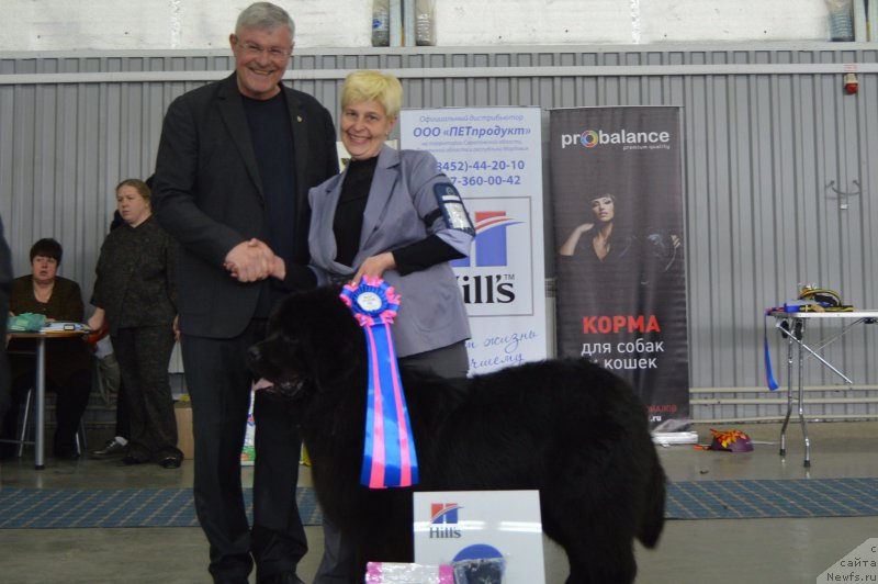 Фотография № 223815