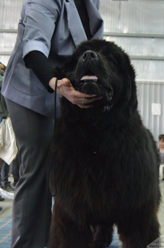 Фотография № 223823