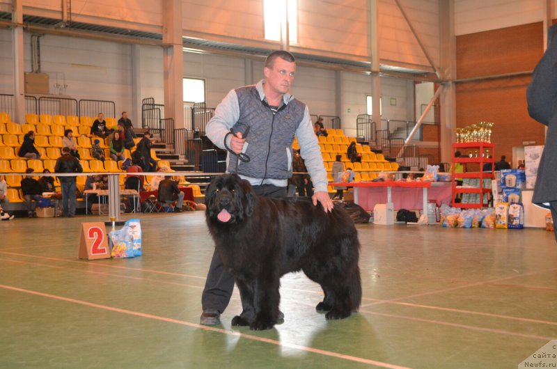 Фото: Гран-При Тольятти Спарта