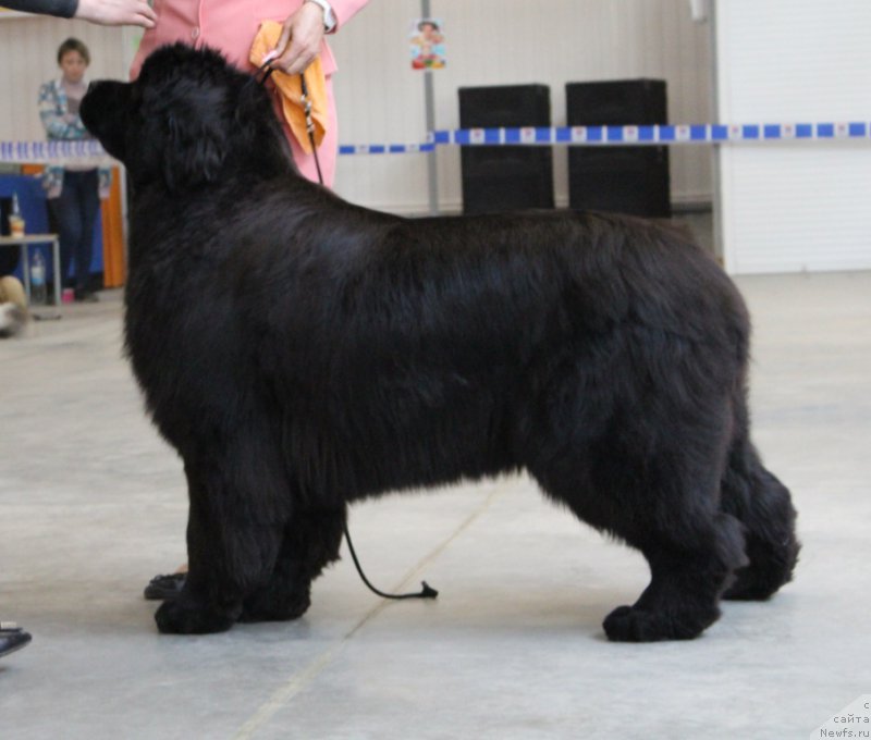 Фотография № 223868