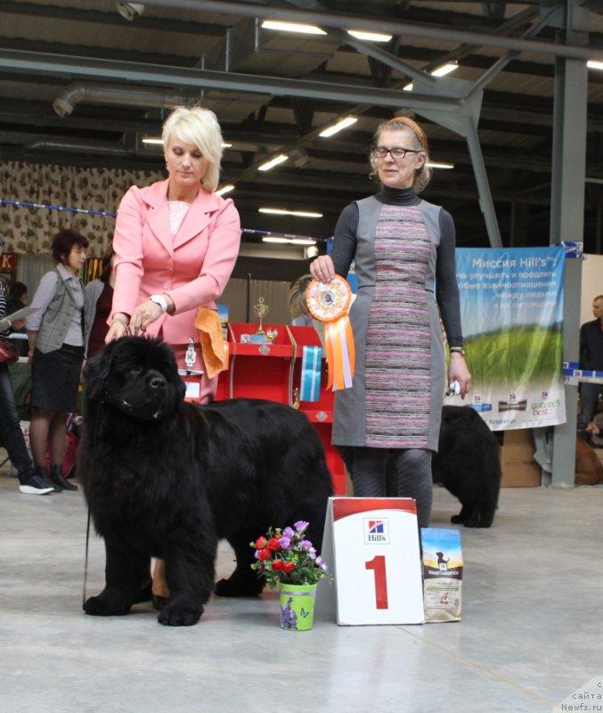 Фотография № 223869