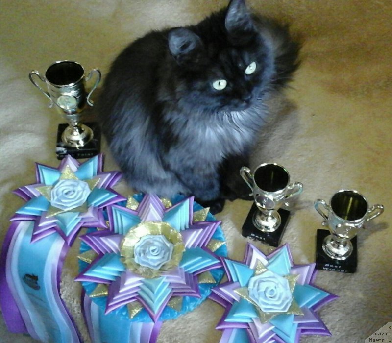 Фотография № 223871